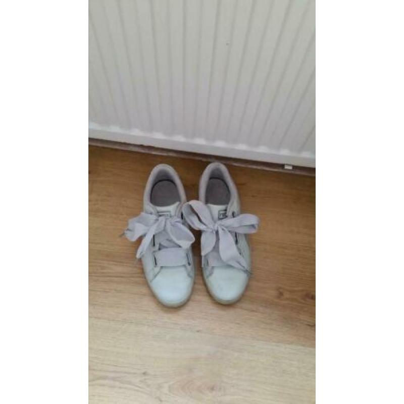 Puma's maat 39