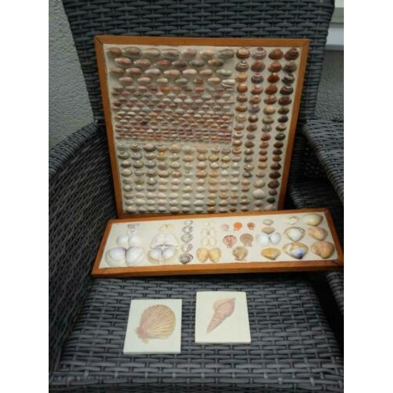 Schelpen borden met schelpen 2 x borden 2 tegeltjes