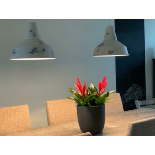Hanglampen