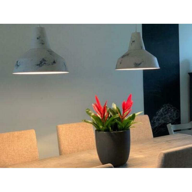 Hanglampen