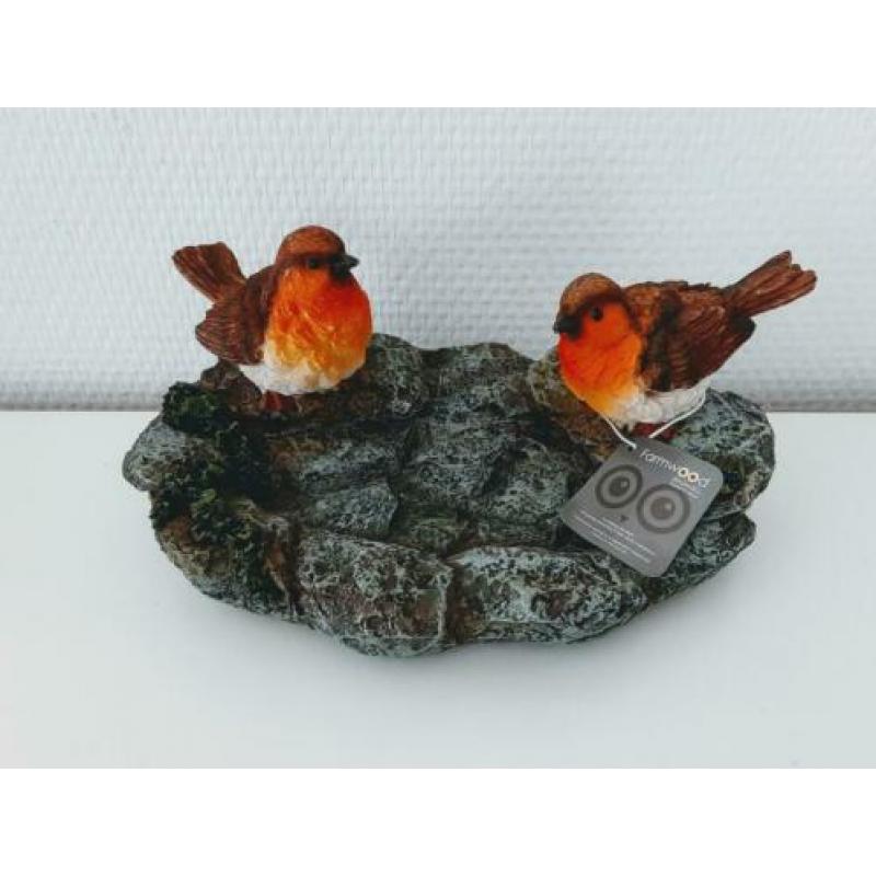Roodborstjes/papagaaitjes??paddestoeltjes en meer vogeltjes