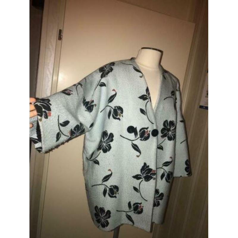 ZARA LIMITED EDITION Mooie Oversized Jas/Jasje/Blazer