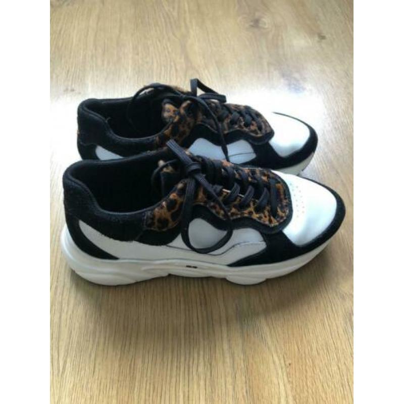Hub Rock dad sneakers wit zwart panter