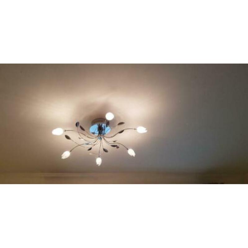 Plafondlamp Tulip met 6 Lichtpunten Chroom