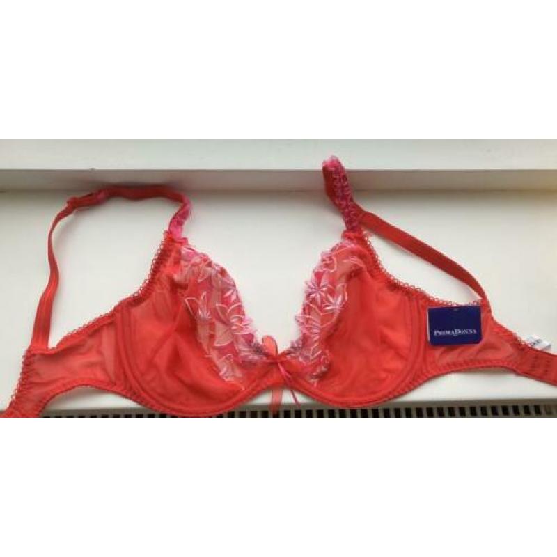 Prima Donna 70 f