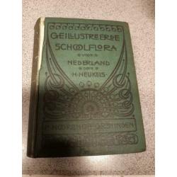 schoolflora voor Nederland