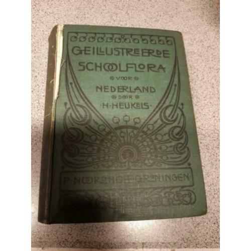 schoolflora voor Nederland