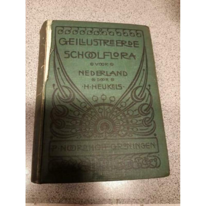 schoolflora voor Nederland