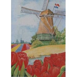 Cadeaudoosje wenskaarten 5 stuks in doos