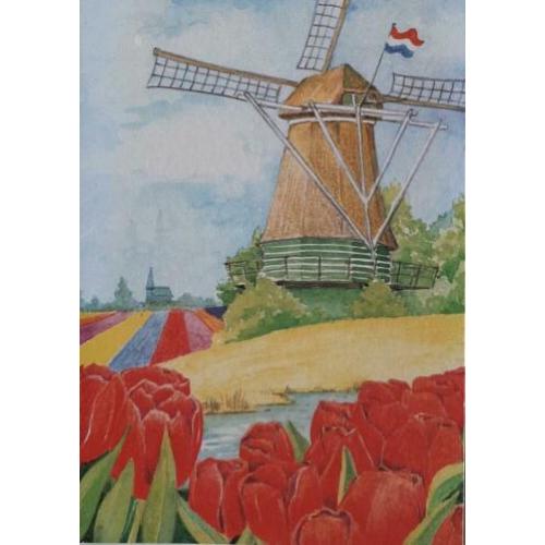 Cadeaudoosje wenskaarten 5 stuks in doos