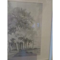Schilderij bomen en boerderij; in potlood met aquarel.