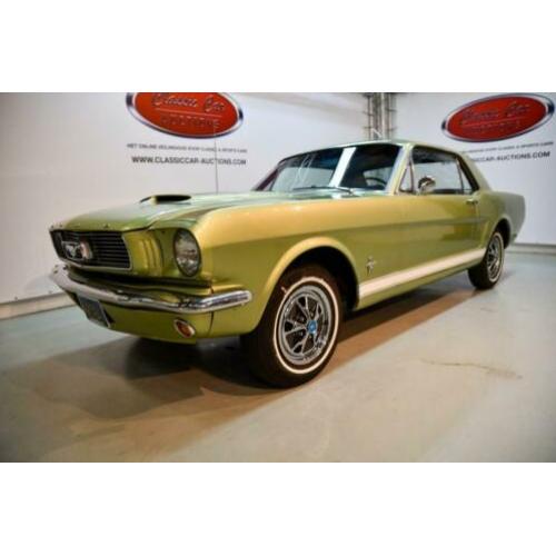 Ford usa MUSTANG
