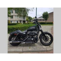 HARLEY-DAVIDSON SPORTSTER IRON XL 883 N (bj 2015)