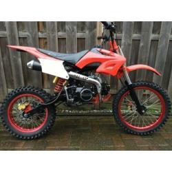125 cc pitbike