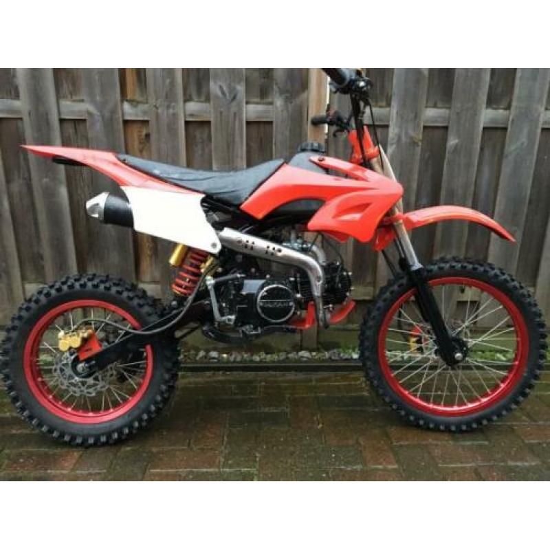 125 cc pitbike