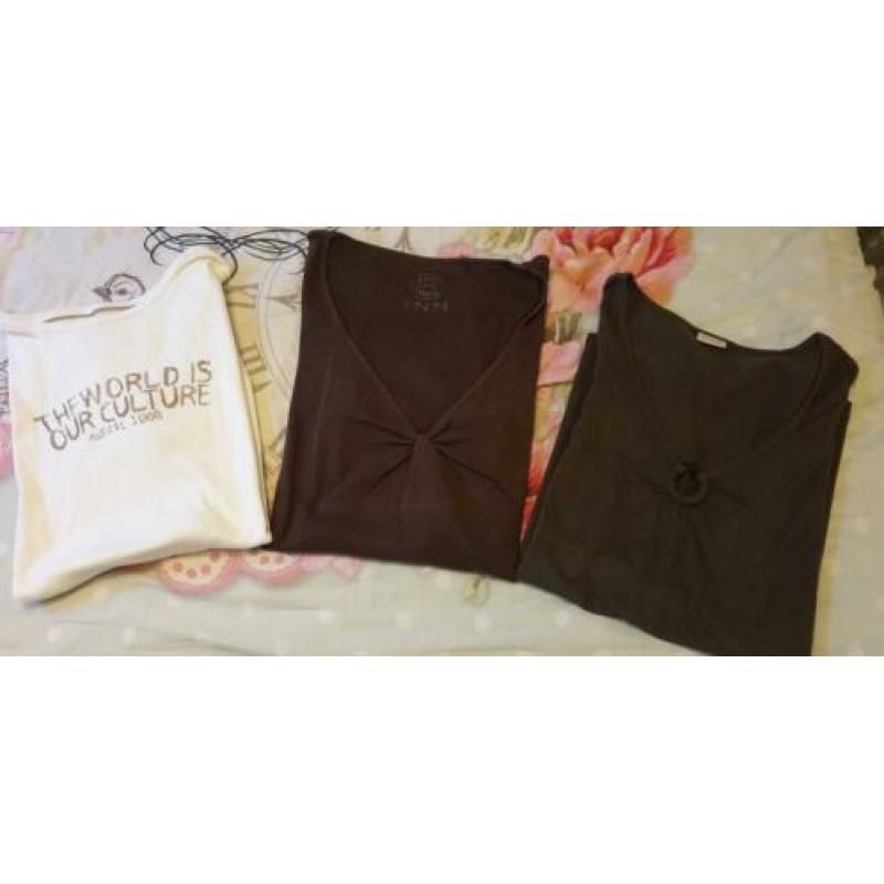 3 shirts Didi maat L