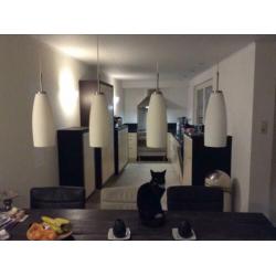 Hanglamp voor boven de eettafel was 229,- nu 25