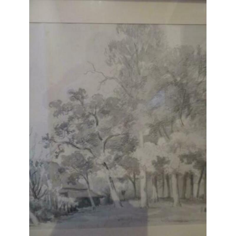 Schilderij bomen en boerderij; in potlood met aquarel.