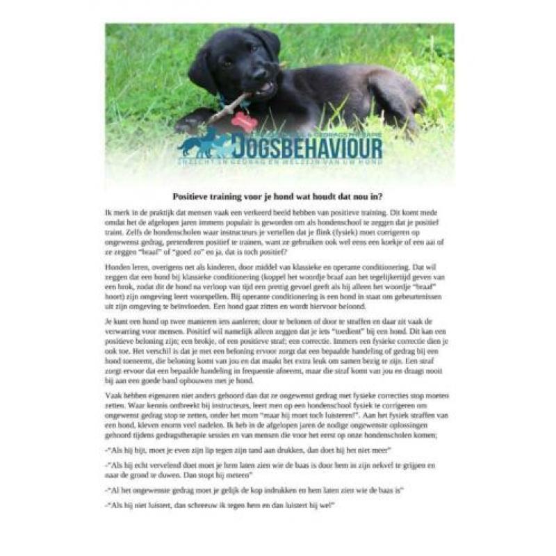Hondenschool Dogsbehaviour Ypenburg, Den Haag & Zoetermeer