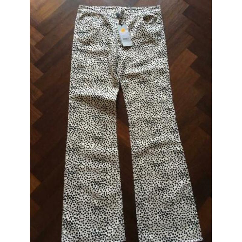 Costes broek lang crème met ze stip mt 42-44nw