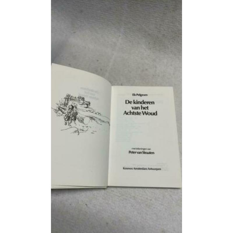 Boek De kinderen van het Achtste Woud door Els Pelgrom
