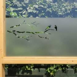 Statische raamfolie • Vogels op Tak • Uniquewinkel