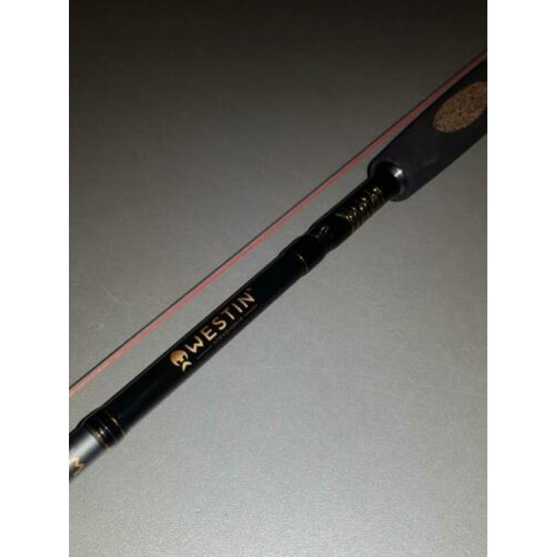 Westin w3 powercast-t 20-80gr + Abu Garcia revo beast X 41