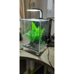 Superfish 1qube