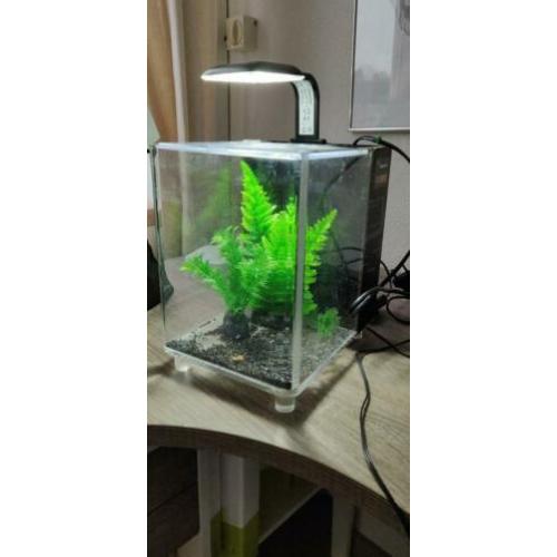 Superfish 1qube