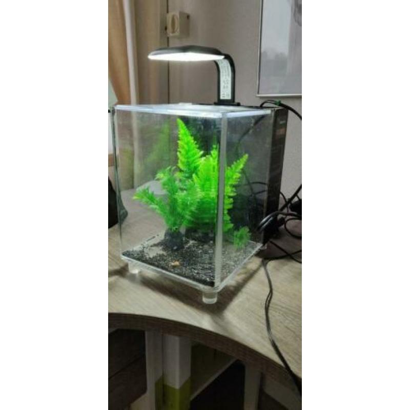 Superfish 1qube