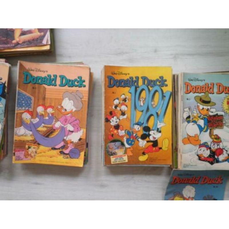 Donald ducks 1600