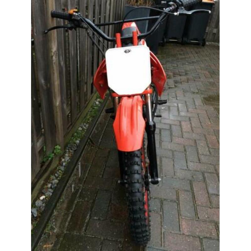 125 cc pitbike