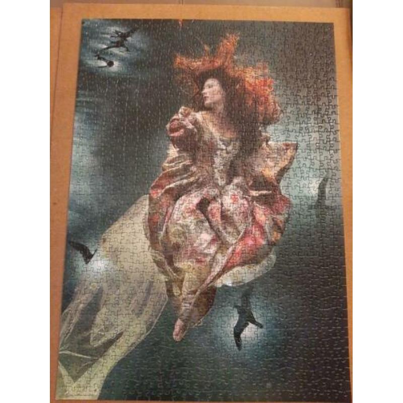 legpuzzels, Schmidt , The Water Babies en Thomas Kinkade