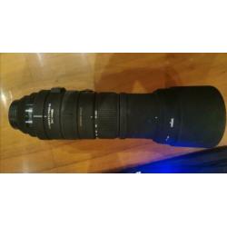 Sigma 150-500 voor Canon full frame