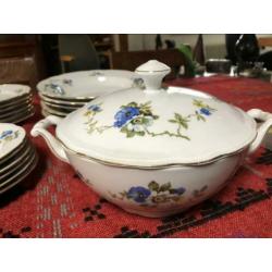 Servies helemaal COMPLEET Thuringia Antiek
