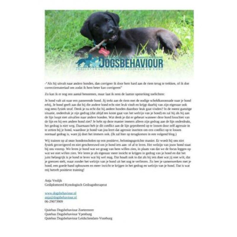 Hondenschool Dogsbehaviour Ypenburg, Den Haag & Zoetermeer
