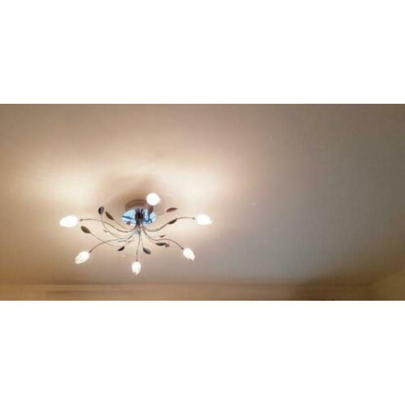 Plafondlamp Tulip met 6 Lichtpunten Chroom