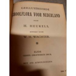 schoolflora voor Nederland
