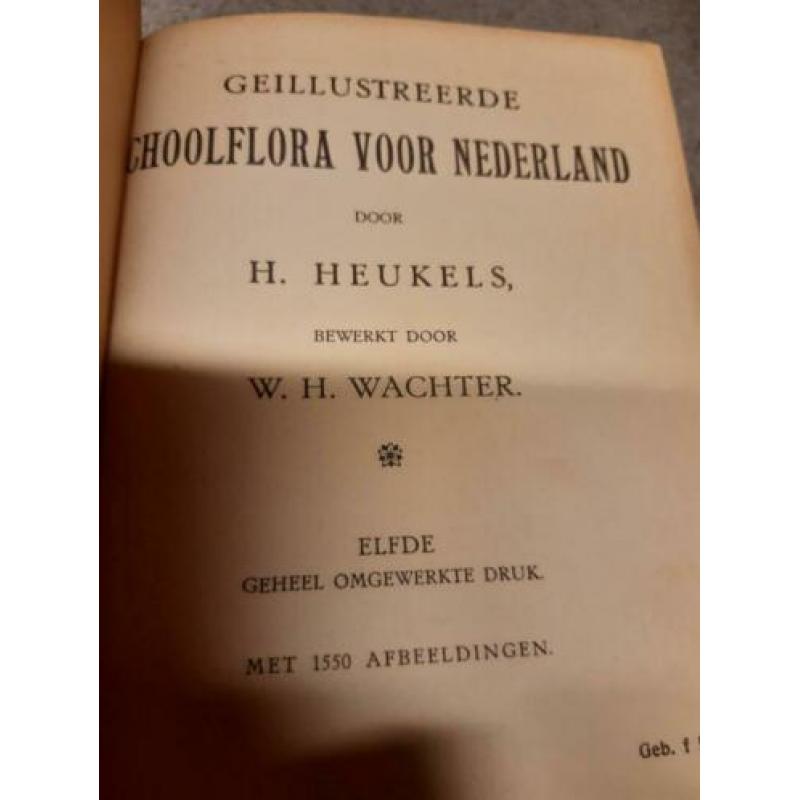schoolflora voor Nederland