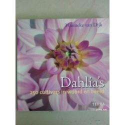 Dahlia's. In moestuin potten en borders