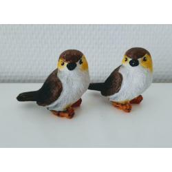 Roodborstjes/papagaaitjes??paddestoeltjes en meer vogeltjes
