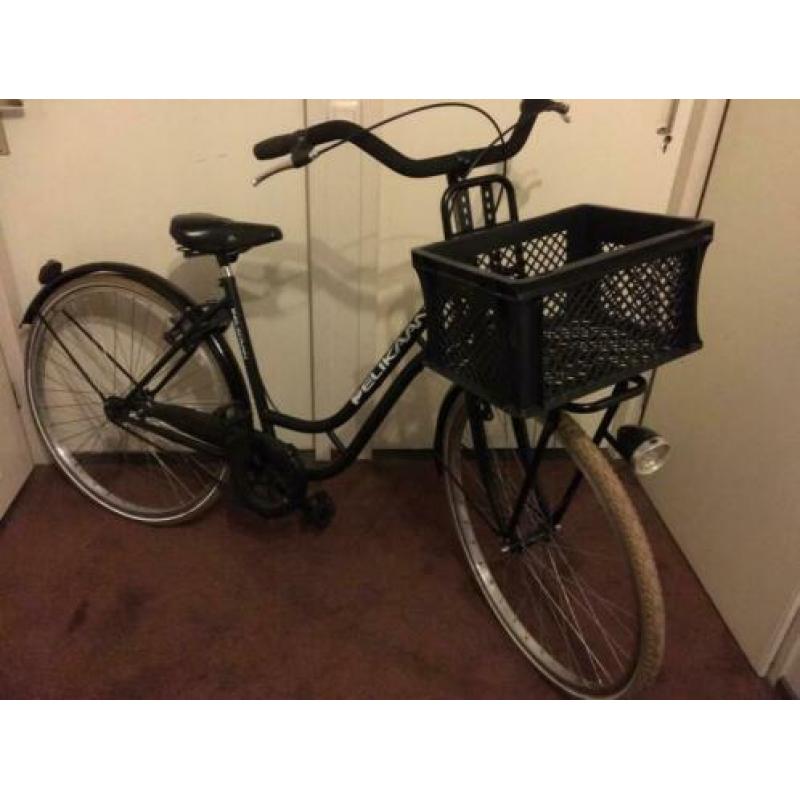Pelikaan 28 inch