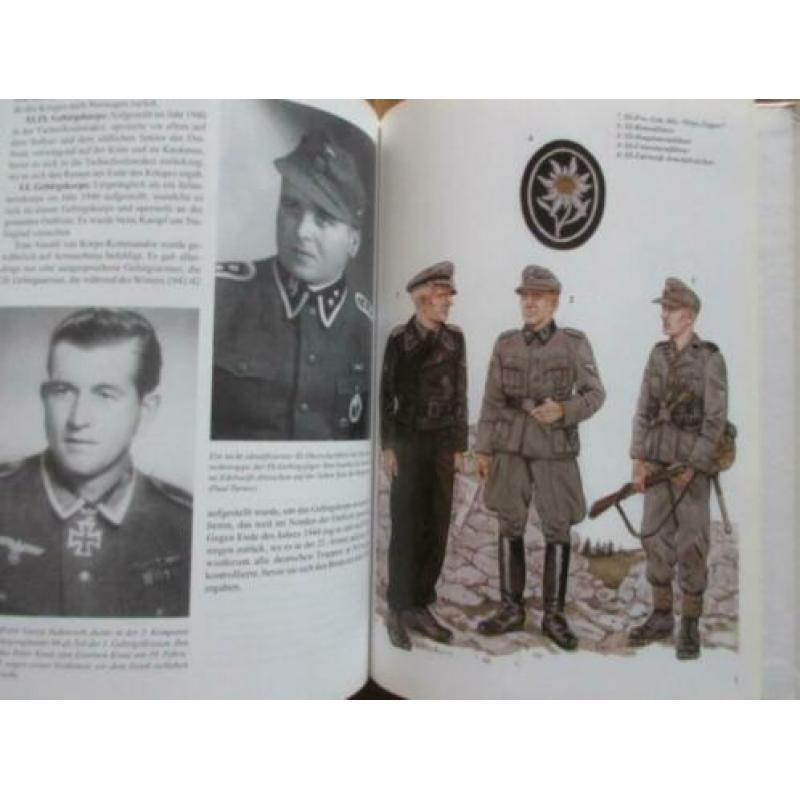 Deutsche alpine Eliteeinheiten 1939-1945 Gebirgsjager