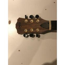 Layke Superior met Fishman Pickup