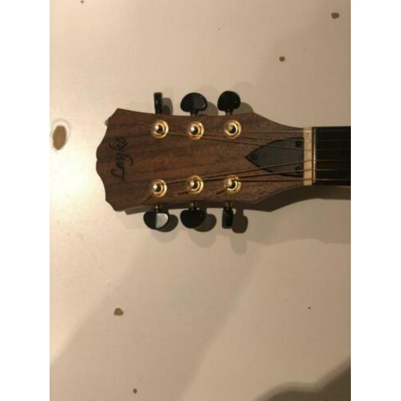 Layke Superior met Fishman Pickup