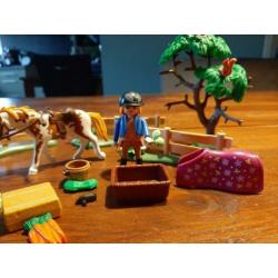 Paddock met paardenfamilie - 5227