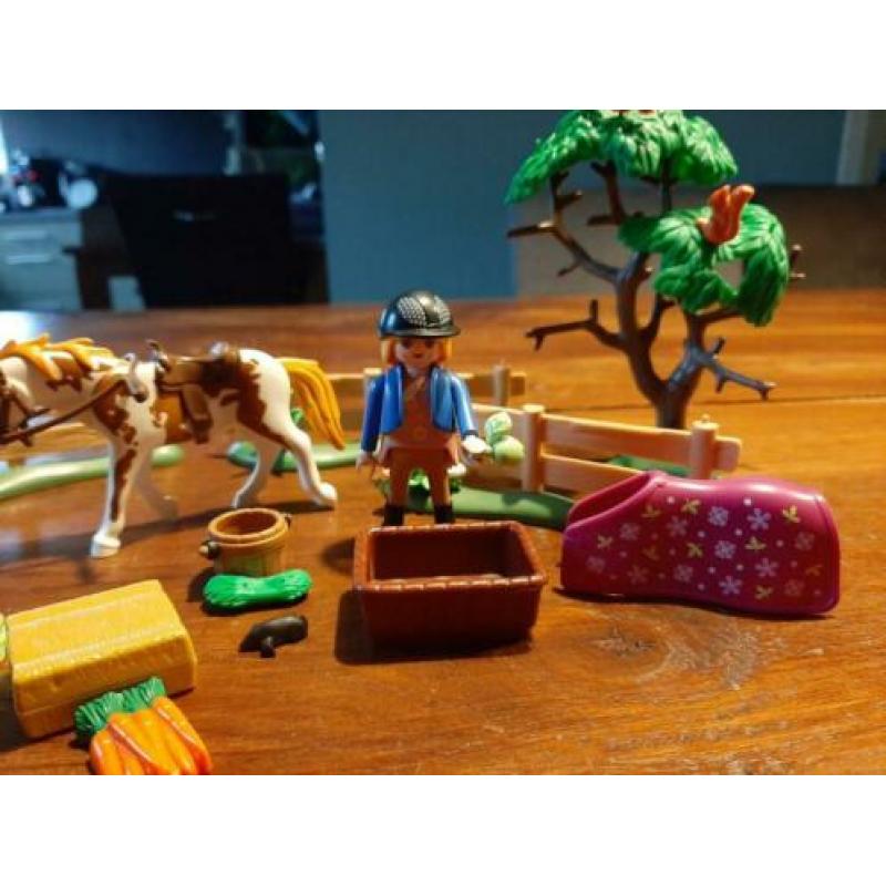 Paddock met paardenfamilie - 5227