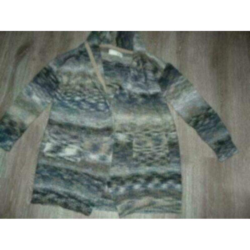 Hip chique grijs panterprint vestje vest Guess maat S 36 38