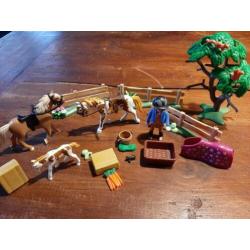 Paddock met paardenfamilie - 5227