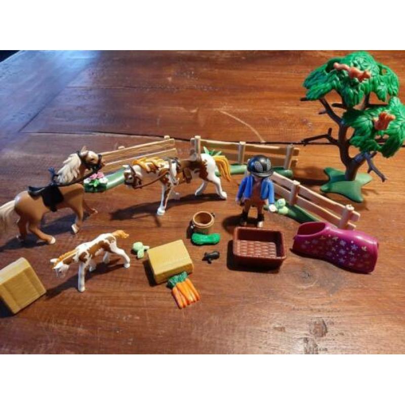 Paddock met paardenfamilie - 5227